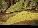 Paysages_269