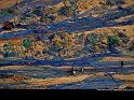 Paysages_271