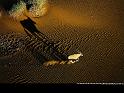 Paysages_275