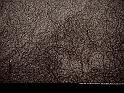 Paysages_277