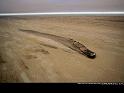 Paysages_280
