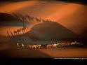Paysages_282