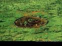 Paysages_284