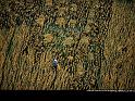 Paysages_290