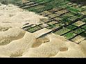 Paysages_306