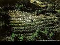 Paysages_319