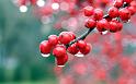 Paysages_326