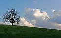 Paysages_331