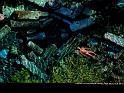Paysages_346