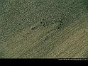 Paysages_353