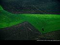 Paysages_356