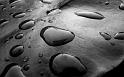 Paysages_364