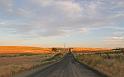 Paysages_365