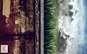 Paysages_370