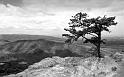 Paysages_371