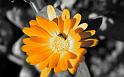 Paysages_374