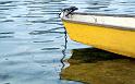 Paysages_385