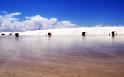 Paysages_392