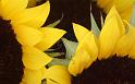 Paysages_396