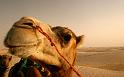 Paysages_402