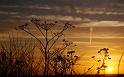 Paysages_403