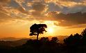 Paysages_421