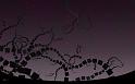 Paysages_429