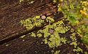 Paysages_440
