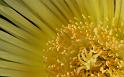 Paysages_450