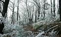 Paysages_455