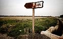 Paysages_463