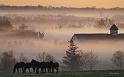 Paysages_465