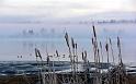 Paysages_488