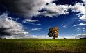 Paysages_491