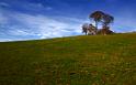 Paysages_501