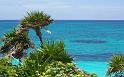 Paysages_517