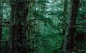 Paysages_523