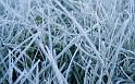 Paysages_524