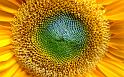Paysages_527
