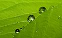 Paysages_536