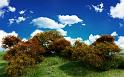 Paysages_537