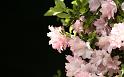 Paysages_538