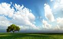 Paysages_540