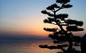 Paysages_542