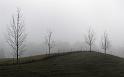 Paysages_550