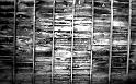 Paysages_556
