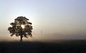 Paysages_569