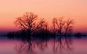 Paysages_570