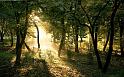 Paysages_580