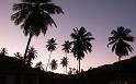 Paysages_585
